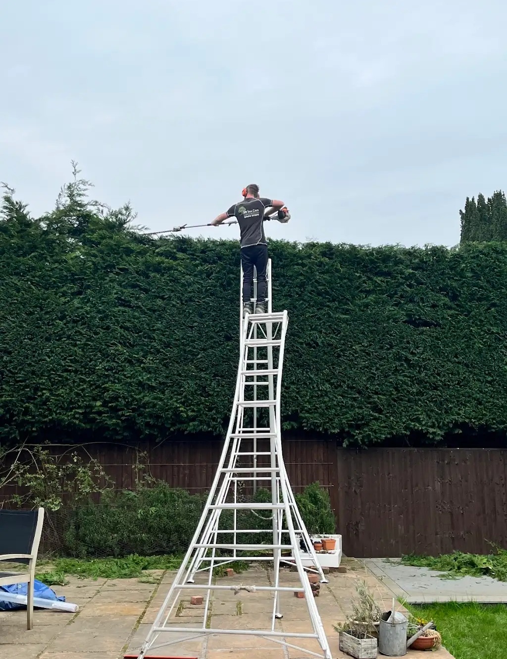 Hedge-Trimming-1-trimmed
