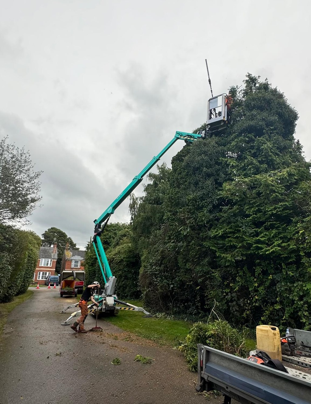 hedge-maintenance-trimmed